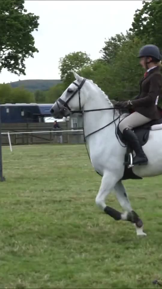 Rider on white horse