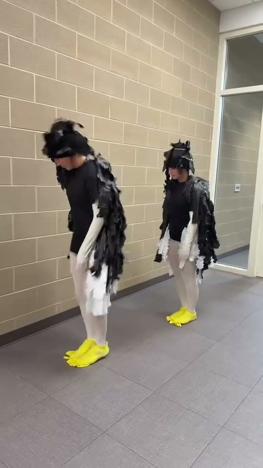 Two people in bird costumes